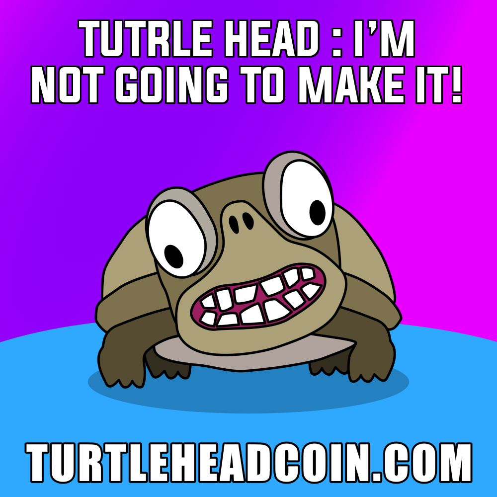 turtle head coin